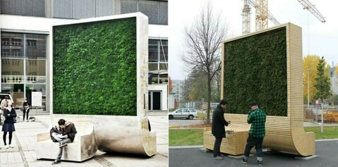 Installer des CityTree (banc avec mur végétal intégré) pour améliorer la qualité de l’air en ville