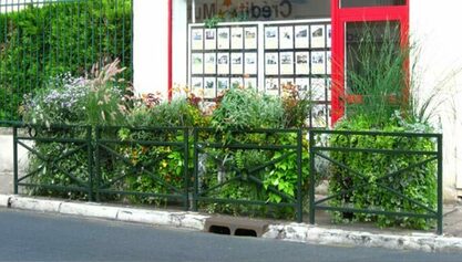Placettes d'Angers : Végétaliser les pieds des arbres et les nouvelles barrières métalliques  Angers Quartiers
