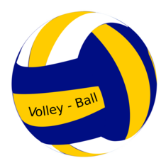 projet volley.png