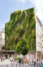 Superbe mur végétalisé au niveau de la rue Saint-Aubin